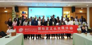 茶香为媒连中非  溯源茶史话合作丨中非经贸博览会外媒记者团参访湖南省茶叶博物馆    