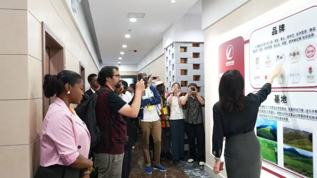 茶香为媒连中非 溯源茶史话合作丨中非经贸博览会外媒记者团参访湖南省茶叶博物馆 茶香为媒连中非 溯源茶史话合作丨中非经贸博览会外媒记者团参访湖南省茶叶博物馆