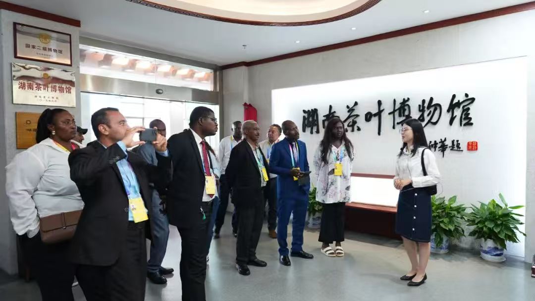 茶香为媒连中非 溯源茶史话合作丨中非经贸博览会外媒记者团参访湖南省茶叶博物馆 茶香为媒连中非 溯源茶史话合作丨中非经贸博览会外媒记者团参访湖南省茶叶博物馆